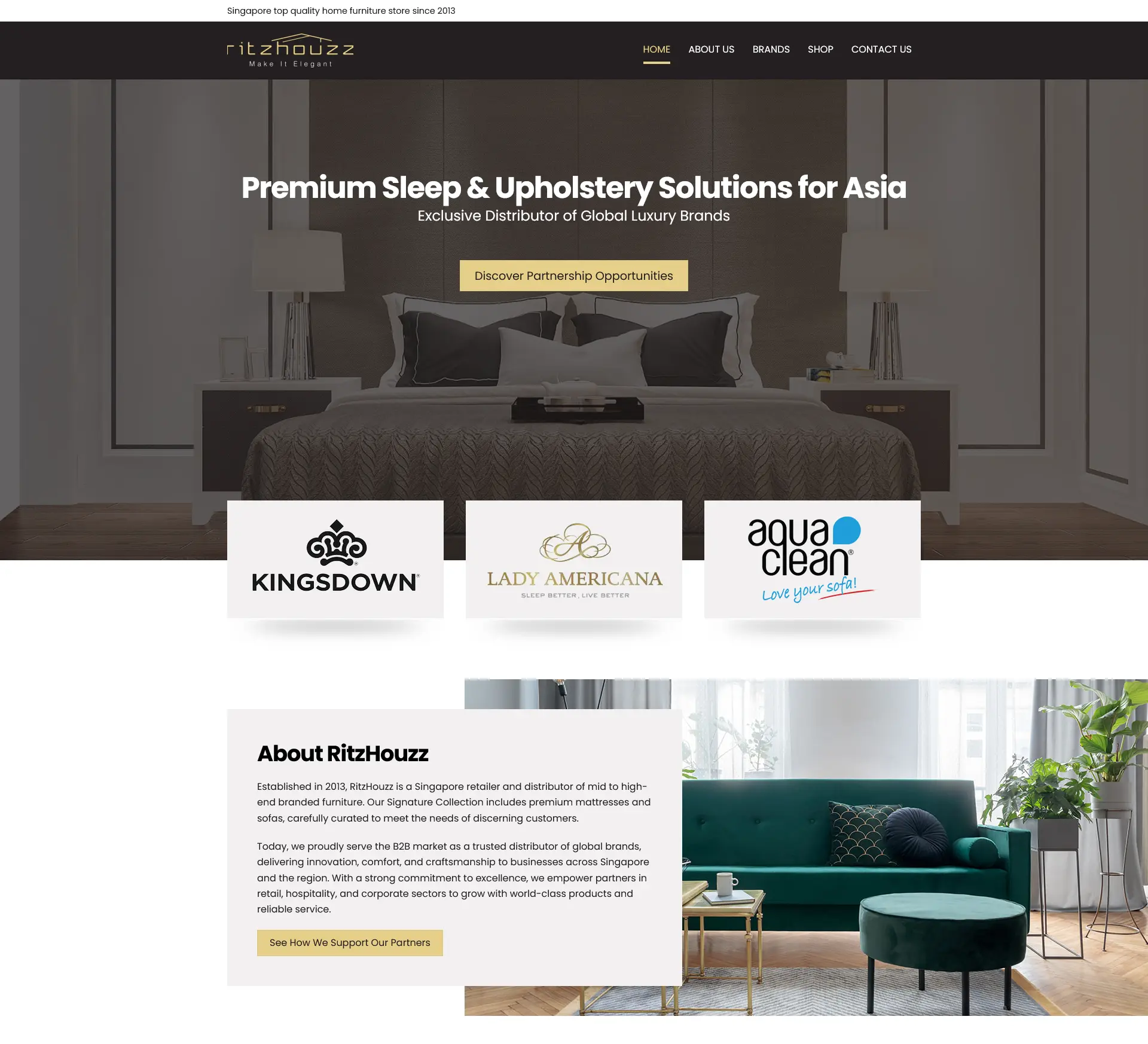RitzHouzz website before the MIBC revamp